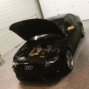 Meet your Posher, Weston